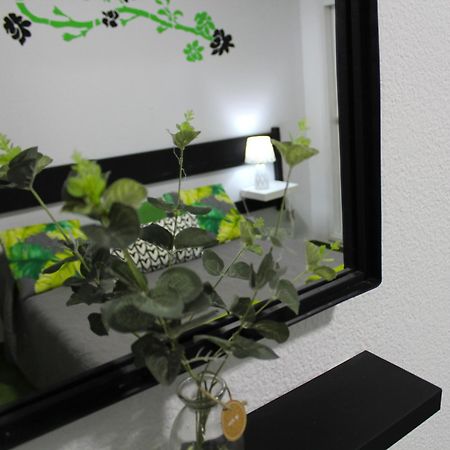 Surycan Tropical Garden Apartment Playa del Inglés Kültér fotó