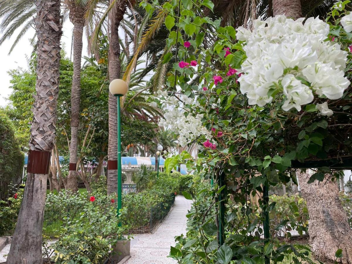 Surycan Tropical Garden Apartment Playa del Inglés Kültér fotó