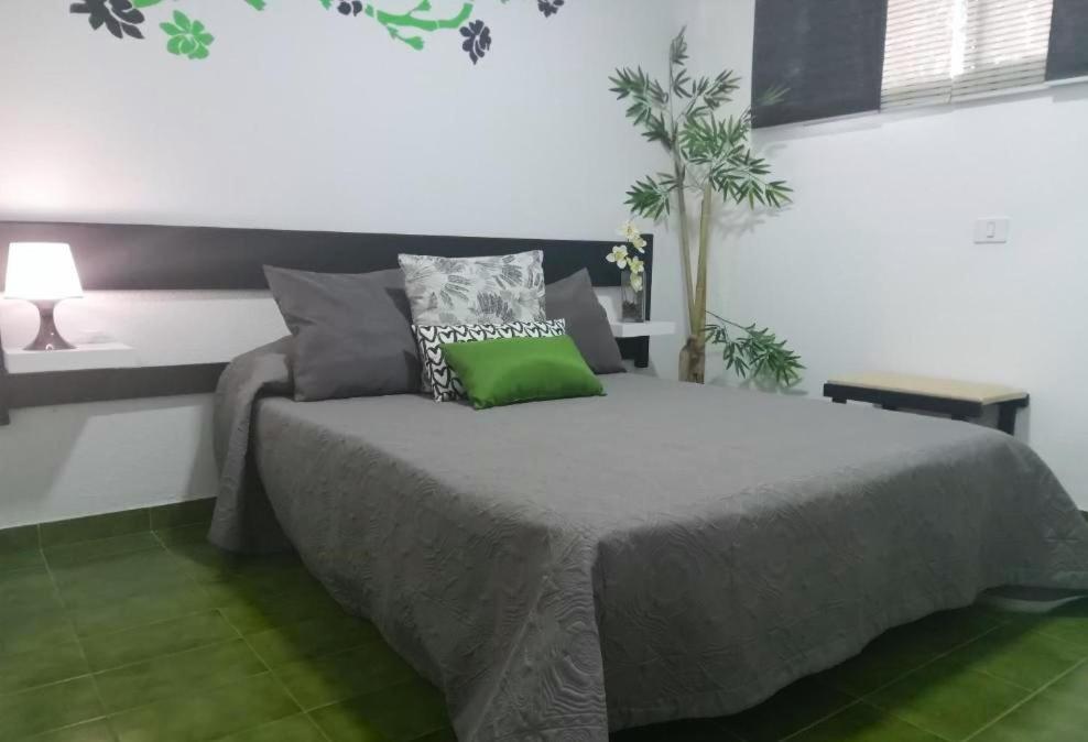 Surycan Tropical Garden Apartment Playa del Inglés Kültér fotó